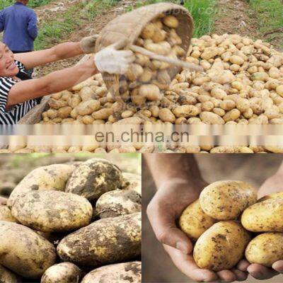 Single Row Potato Digger Potato Good Quality Farm Machine Single Row Potato Digger With New Design photo-4
