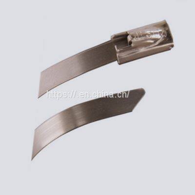 Marker Cable Ties/Identification Cable TiesStainless Steel Cable Ties