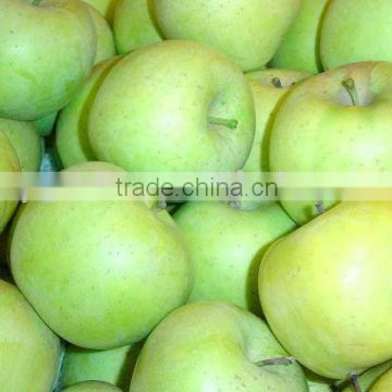 Fresh Green Apple