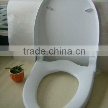 Plastic Toilet Cover Mould