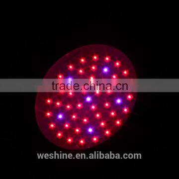 UFO LED Grow Light Greenhouse Darkroom Plant Flower Grow Lamp Lighting Indoor 50W LED Red+Blue Mini Hydroponic Light photo-6