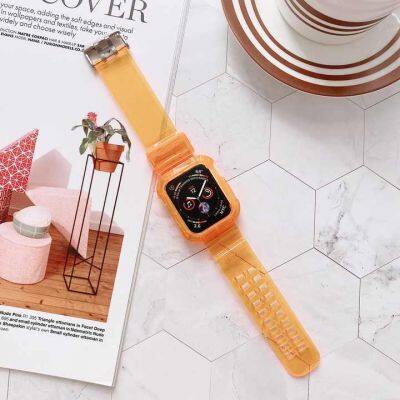 Wholesale Watch Strap With Watch Case 40mm 41mm 42mm 44mm 45mm TPU for Apple Watch Band Protective Case Series 7 6 photo-2