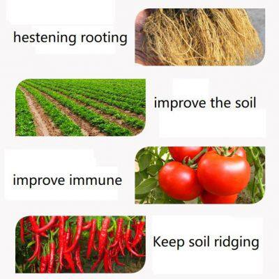 High Purity Plant Growth Regulator 1-naphthaleneacetamide Nad 98%TC photo-2