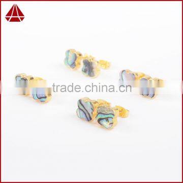 High Quality Abalone Paua Shell Earring Clover Earrings for Girl Lucky Jewelry photo-3