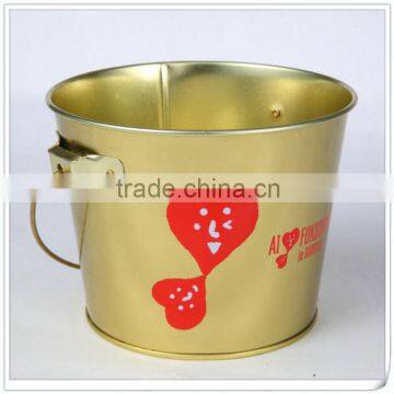 Customized small tin bucket