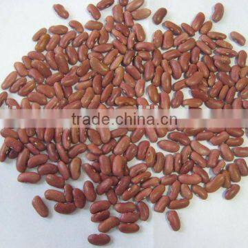 dried red kidney beans
