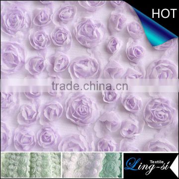 Tulle Mesh Tape Embroidery Fabric for Dress and Cushion DSN406