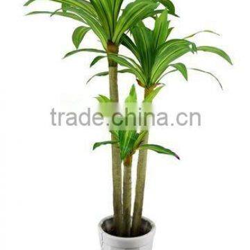 Artificial dracaena fragrans tree with three branches