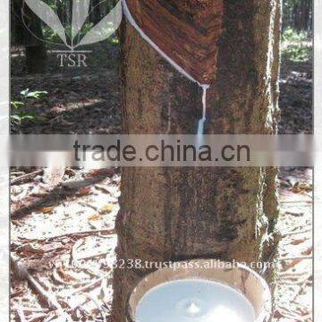 Vietnam Natural Rubber