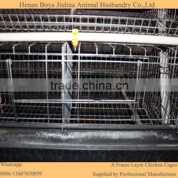 Professional battery chicken layer wire cage sale for Pakistan farm