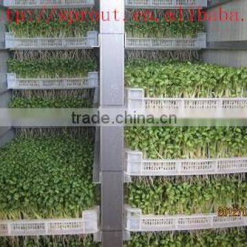 Fodder Sprouting Machine/barley Grass Growing Machine photo-2