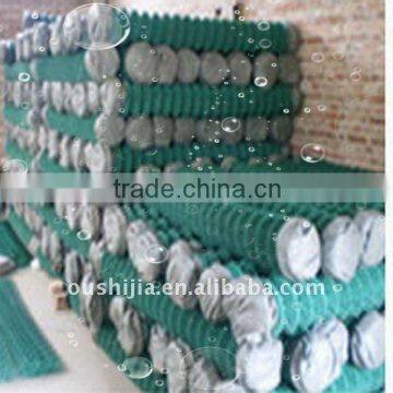 PVC-Coated Wire Mesh(oushijia)