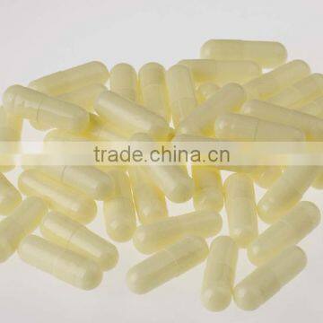 Edible Gelatin Used in Food Industry