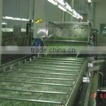 Brush Type Vegetable and Fruit Washing Machine photo-6