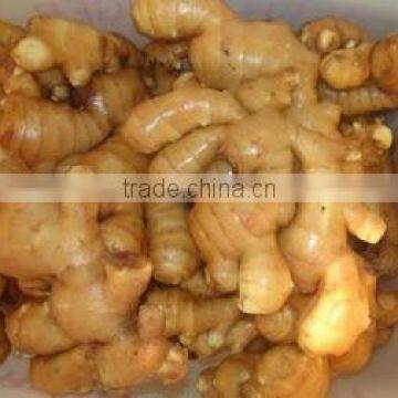 Chinese Fresh Ginger