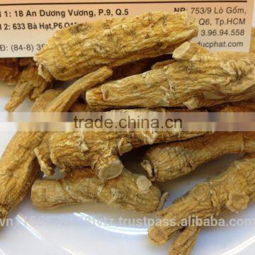 Favorite ginseng