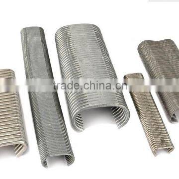 Hog Ring Staple