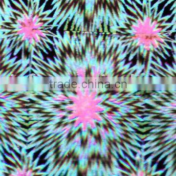 hologram master