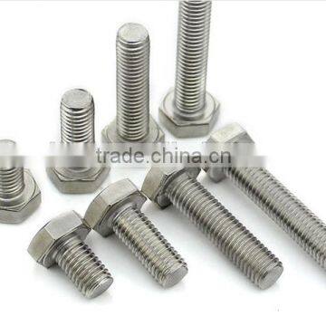 stainless 304 hex head bolt/stainless hex head bolt