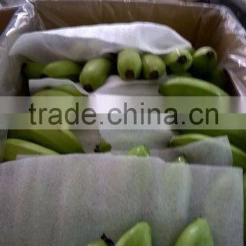 HKVIMEX' S Fresh Cavendish Vietnam Best Quality and Best Price