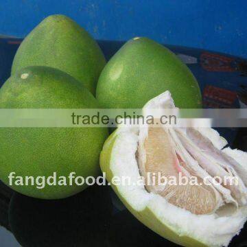 pomelo fruit