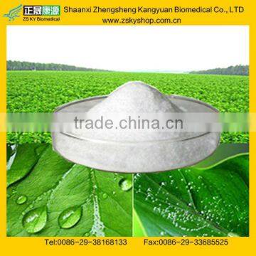 100% natural Stevia Extract Powder Stevioside, Rebaudioside A---GMP Manufacturer supply