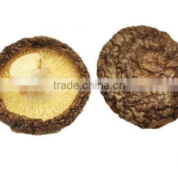 Lentinus edodes, dried lentinus edodes, shiitake mushroom