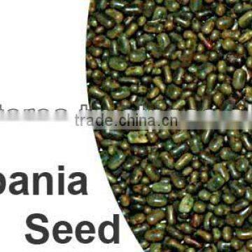 Grade A Moon Star Sesbania Seeds