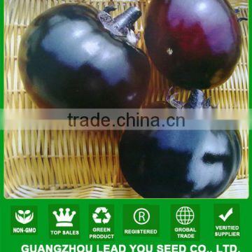 E08 Shengyuan No.2 f1 hybrid black eggplant seeds, 700 to 850grams in weight, round shape