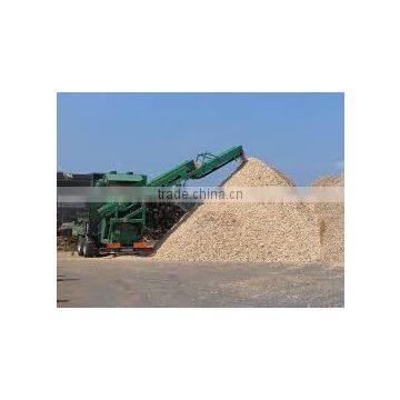 ACACIA, EUCALYPTUS WOOD CHIP FOR PAYPER AND PULP FROM VIET NAM