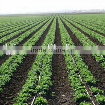 Subsurface Drip Irrigation System photo-6