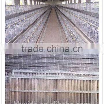 pvc coated rabbit netting/rabbit netting with SGS certificated factory