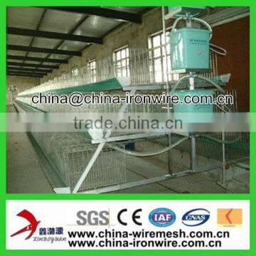 Poultry Cage/Chicken Layer Cage