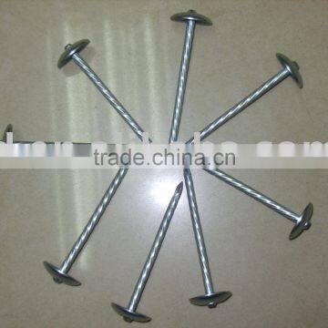 Galvanized Brad Nails