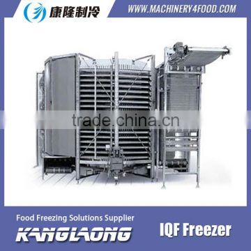 1000Kg/H Frozen Food Systerm With High Quality