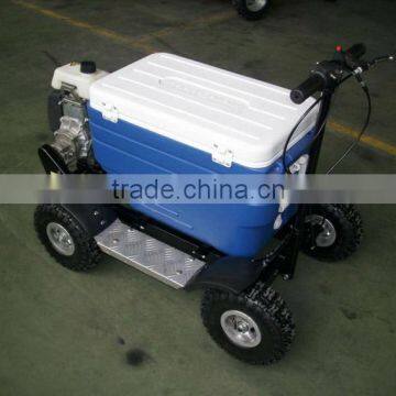 43cc EPA Approved Gasoline Refrigerator Scooter/cooler Box Scooter for Adult (TKS-S43) photo-2