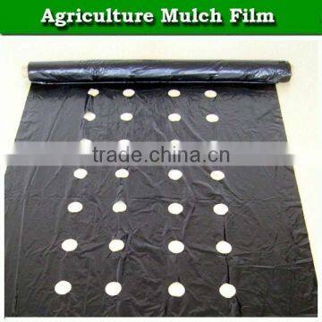 high quality agricultural black polyethylene plastic mulch film for strawberry