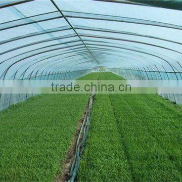Hot Sale Greenhouse With pe Tunnel Greenhouse Door photo-5