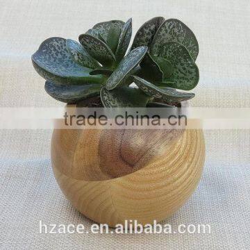 Sphere Succulent Air Plant Planter Wood photo-3