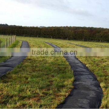 Greenhouse Garden Ground Cover Polypropylene Price photo-4