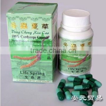 Cordyceps capsule/dong chong xia cao capsule