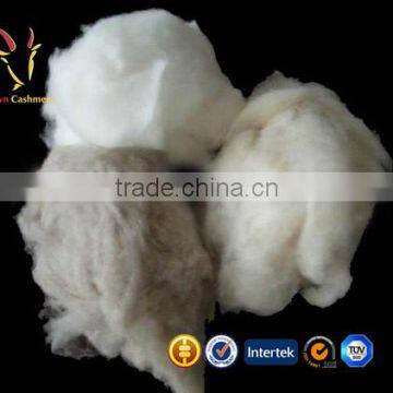 Pure Mongolian Cashmere Top Raw Sheep Wool For Sale