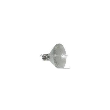 PAR30 LED