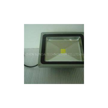 50W Flood Light