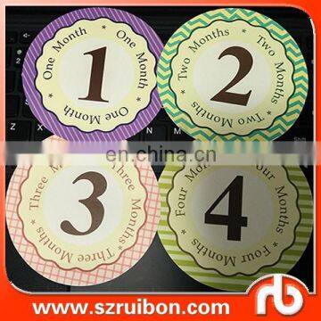 Monthly Baby Milestone Stickers Baby Girl Baby Shower Gift photo-2