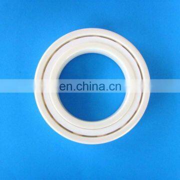 Waterproof Full Ceramic Ball Bearing 6003 Ball Bearing for Bicycle