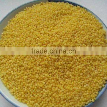 chinese millet (yellow)