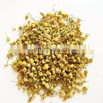 100% Natural Daisy Flower Tea/Hrysanthemum Flower From Vietnam photo-4