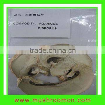 Dried Mushroom (hot sale)