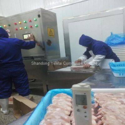 Commercial Stainless Steel Microwave Equipment for Defrosting Frozen Meat for Sale